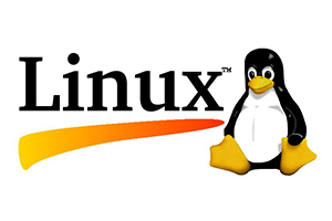 LINUX